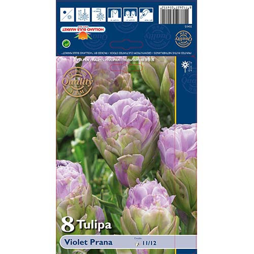 Tulipan frotirni Purple Violet Prana slika 1 članek 68119