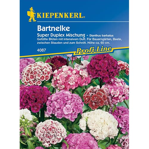 Turški nagelj, Duplika mešanica barv slika 1 članek 86250