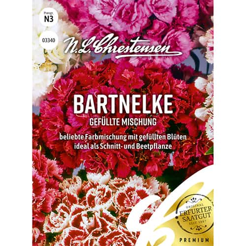 Turški nageljni, trajnice - večbarvna mešanica slika 1 članek 86122