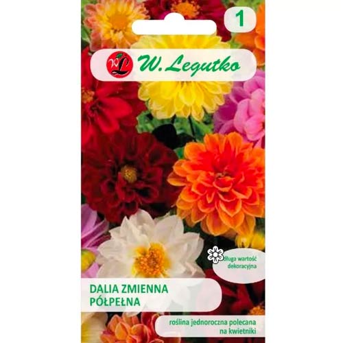 Unwins pritlikava dalija, mešanica slika 1 članek 78549