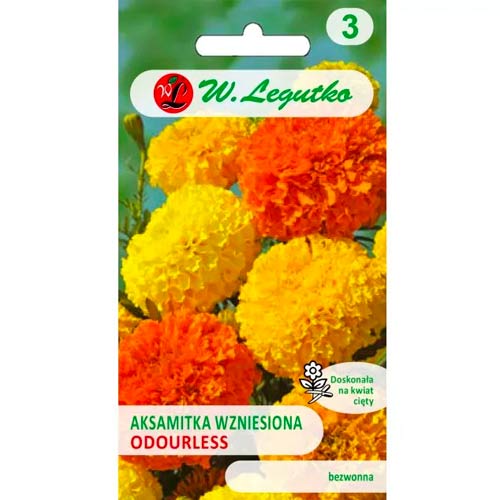 Upright Dwarf Velvet Bezzapachowa, mix slika 1 članek 50080