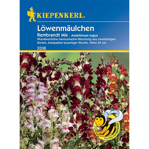 Veliki odolin Rembrandt slika 1 članek 86286