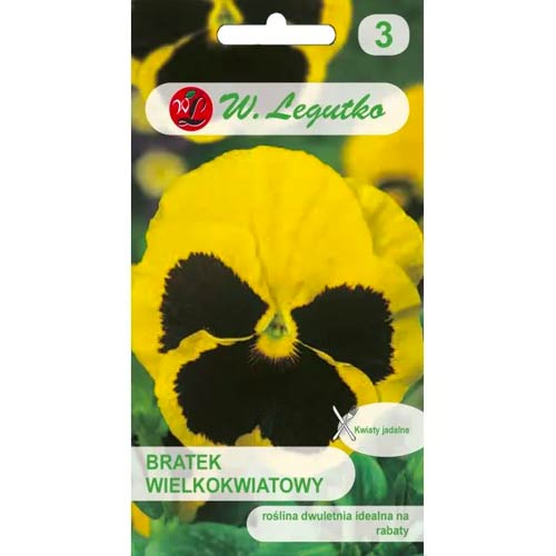 Velikocvetna mačeha Firnengold, Rhinegold slika 1 članek 96733