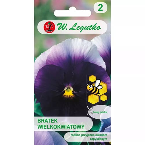 Velikocvetna mačeha Lord Beaconsfield slika 1 članek 96735