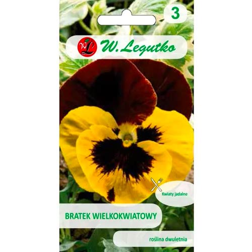 Velikocvetna mačeha Red Wings slika 1 članek 96736