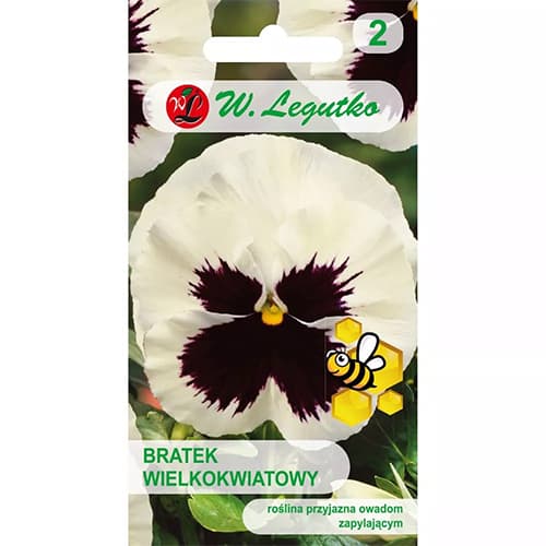 Velikocvetna mačeha Silberbraut slika 1 članek 86802