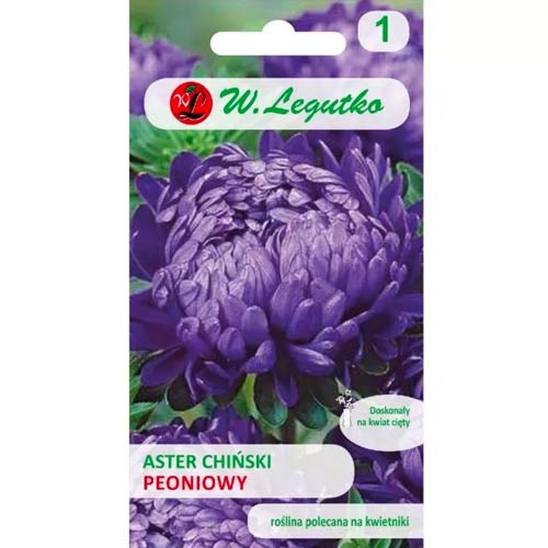 Vijolična astra kitajske potonike slika 1 članek 78528