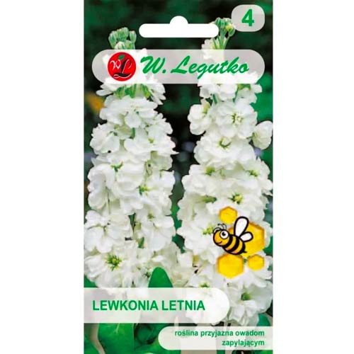 Vijolično siva Excelsior bela slika 1 članek 87078