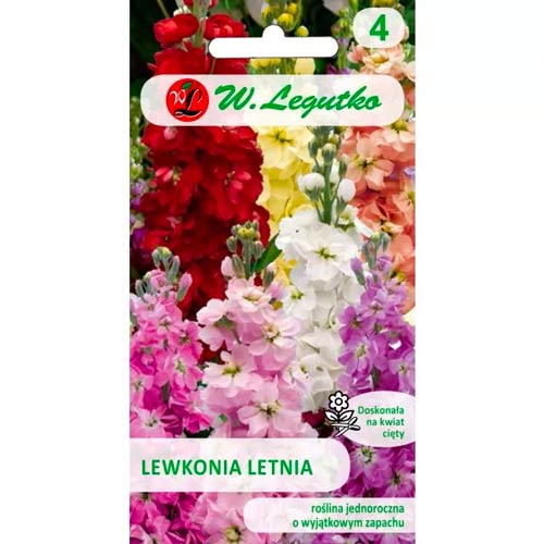 Vijolično siva Excelsior, mix slika 1 članek 87084