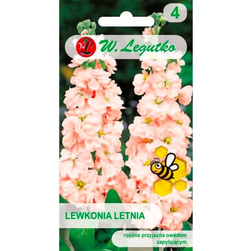 Vijolično sivi Excelsior losos slika 1 članek 87081