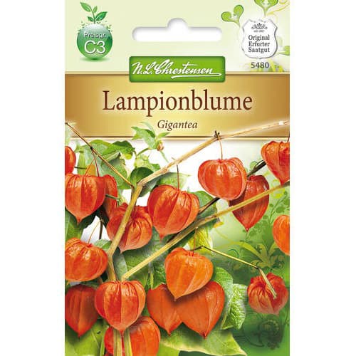 Volčje jabolko Gigantea slika 1 članek 78976