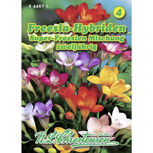 Vrtna frezija - mešanica slika 1 članek 96421