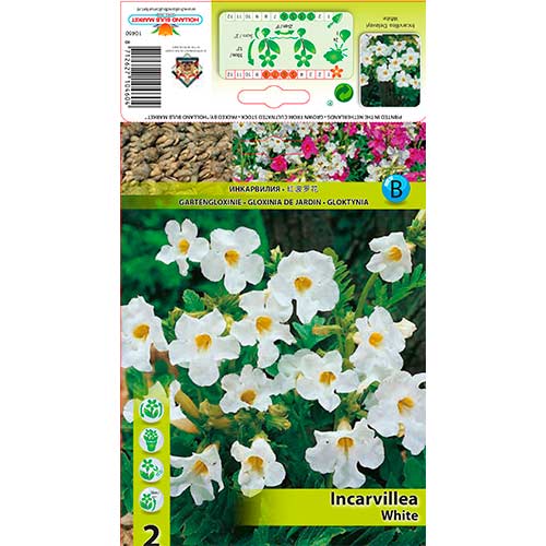 Vrtna gloksinija Delavayi White slika 1 članek 76281