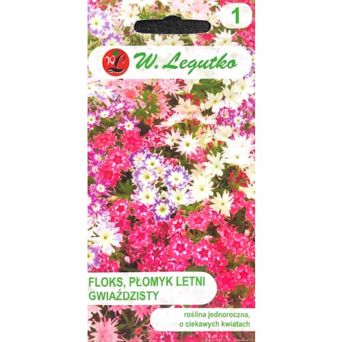 Vrtna plamenka, večbarvna mešanica slika 1 članek 69588