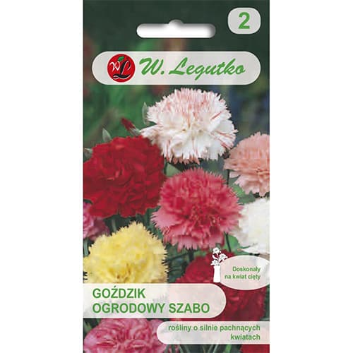 Vrtni nagelj Szabo, večbarvna mešanica slika 1 članek 69593