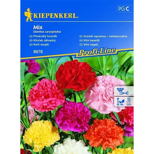 Vrtni nagelj, večbarvna mešanica slika 1 članek 96527