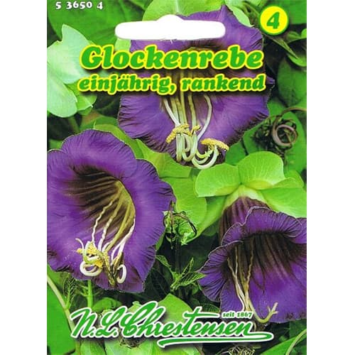 Vzpenjava kobeja slika 1 članek 78982