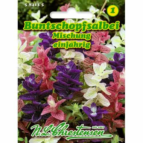 Zajbelj - mešanica slika 1 članek 50032