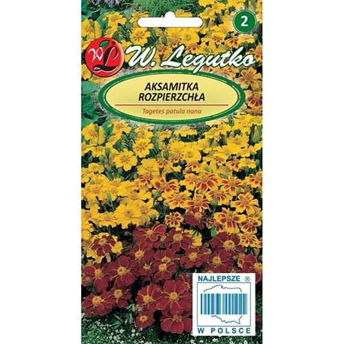 Žametnica Bonanza series, večbarvna mešanica slika 1 članek 69658