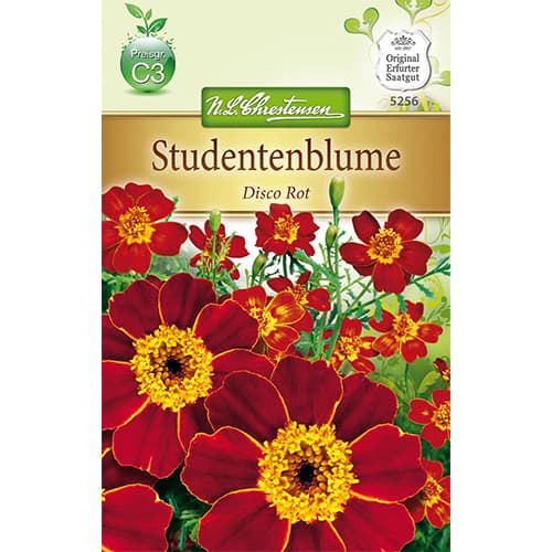 Žametnica Disco Rot slika 1 članek 78745