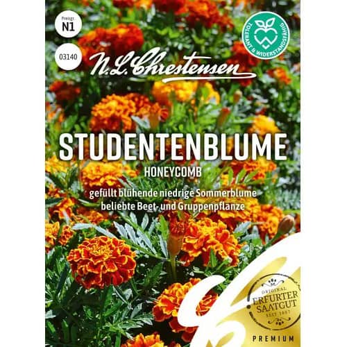 Žametnica Honeycomb slika 1 članek 96455