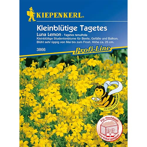 Žametnica Luna Lemon slika 1 članek 86347