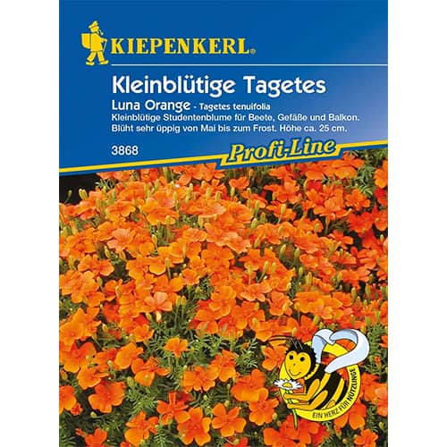 Žametnica Luna Orange slika 1 članek 86348