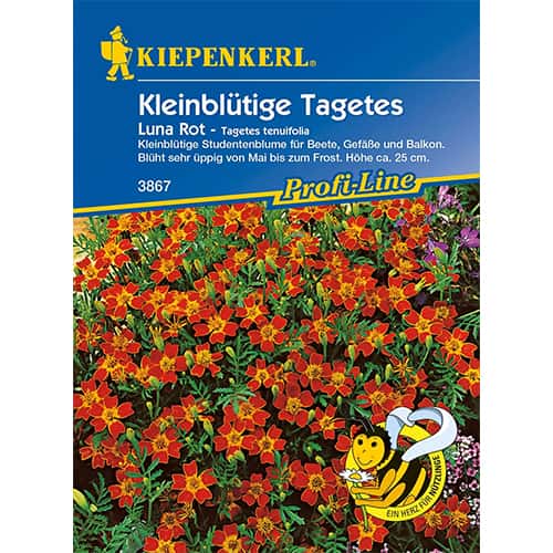 Žametnica Luna Rot slika 1 članek 86349