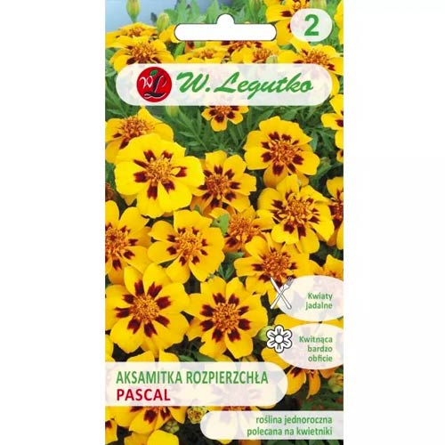 Žametno drevo, razdeljeno na posamezne cvetove Pascal slika 1 članek 96690