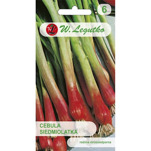 Zelena čebula Red Toga slika 1 članek 78452