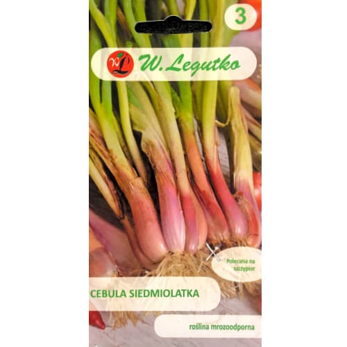 Zelena čebula Winter Nest slika 1 članek 78451