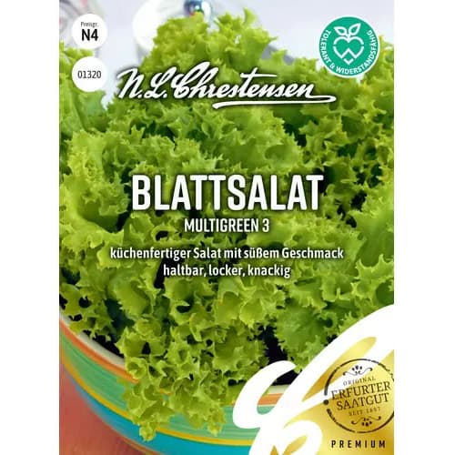 Zelena solata Multigreen 3 slika 1 članek 87828