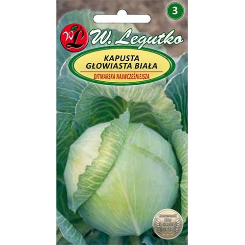 Zelje Ditmarska slika 1 članek 78473