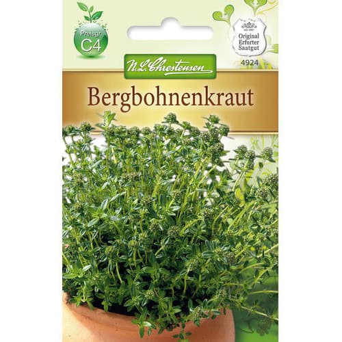 Zimski timijan slika 1 članek 78848