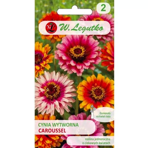 Zinnia dalia Caroussel slika 1 članek 86819