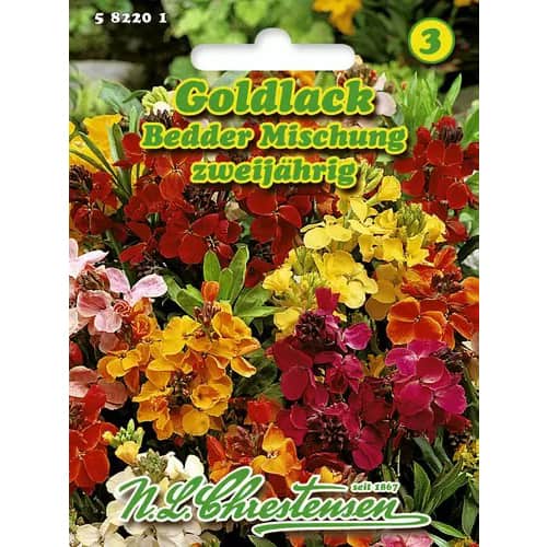 Zlati šeboj - večbarvna mešanica Chrestensen slika 1 članek 96410