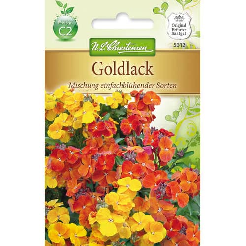 Zlati šeboj - večbarvna mešanica slika 1 članek 78954