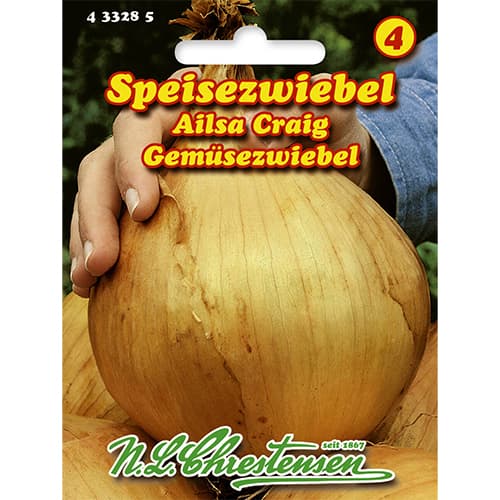 Čebula Ailsa Craig slika 1 članek 86043