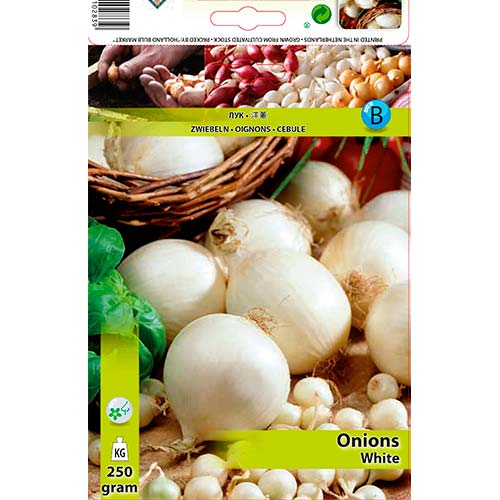 Čebula bela slika 1 članek 70497