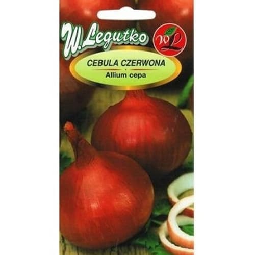 Čebula Red Baron slika 1 članek 78450