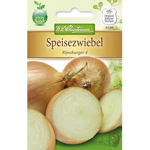 Čebula Rijnsburger 4 slika 1 članek 78757