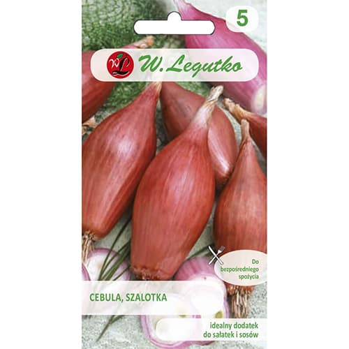 Čebula Zebrune slika 1 članek 96816