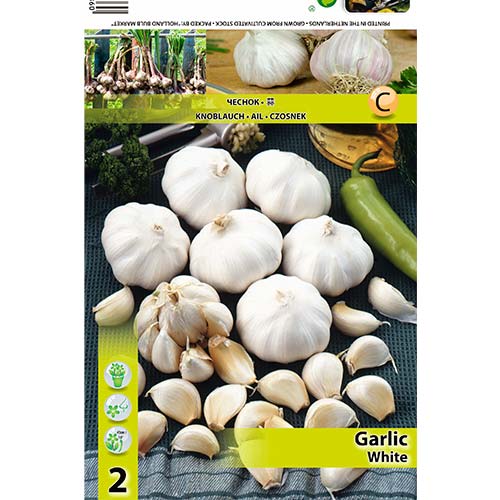 Česen beli slika 1 članek 70500