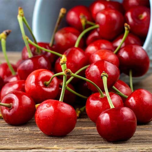 Češnja Lydia, С2 slika 1 članek 7967