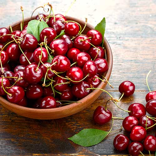 Češnja Sabrina slika 1 članek 6926