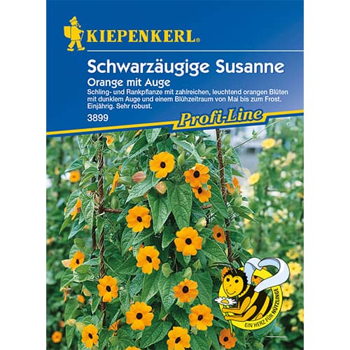 Črnooka Suzana, Orange Eye slika 1 članek 86311