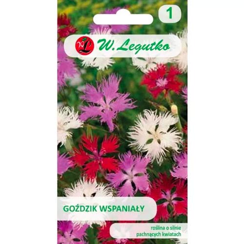 Čudovit nagelj, mešanica slika 1 članek 50103