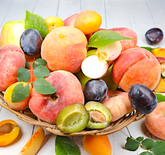 Stebričasto sadno drevje