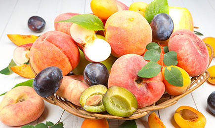 Miniaturni sadovnjak | GradinaMax