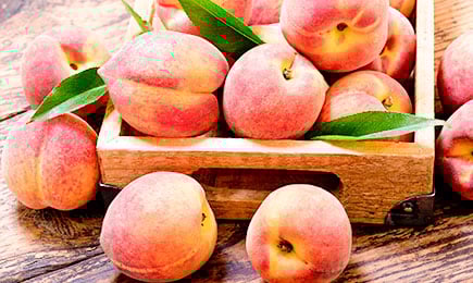 Okus medu | GradinaMax